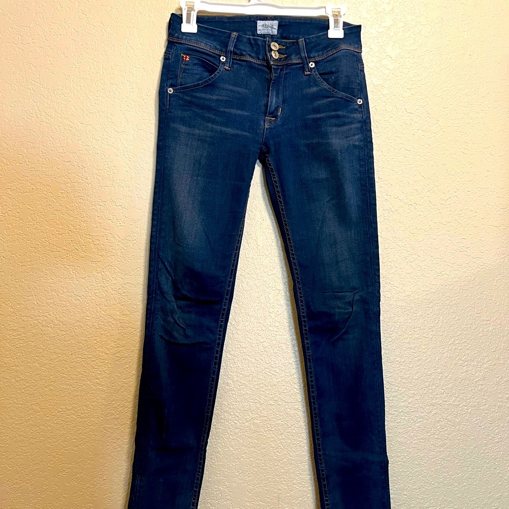 Medium Wash Hudson Skinny Jeans